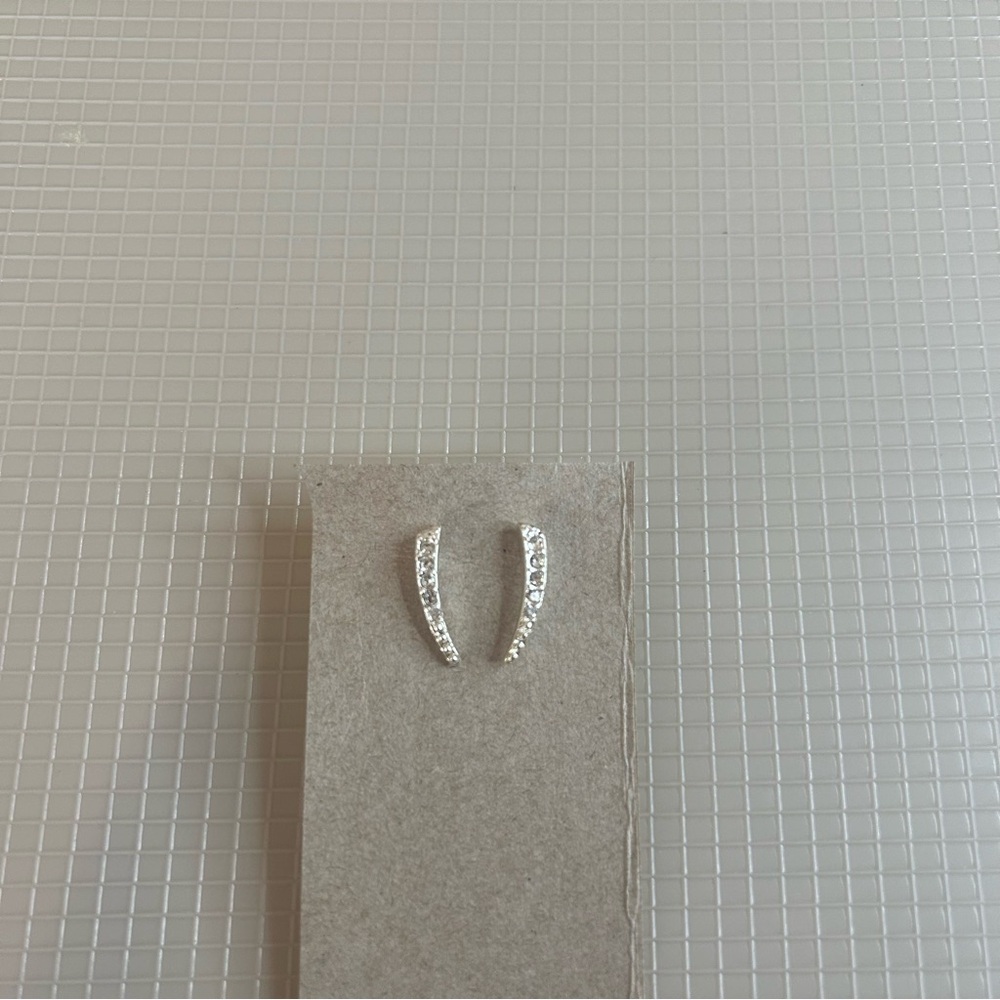 Elegant Silver Earrings